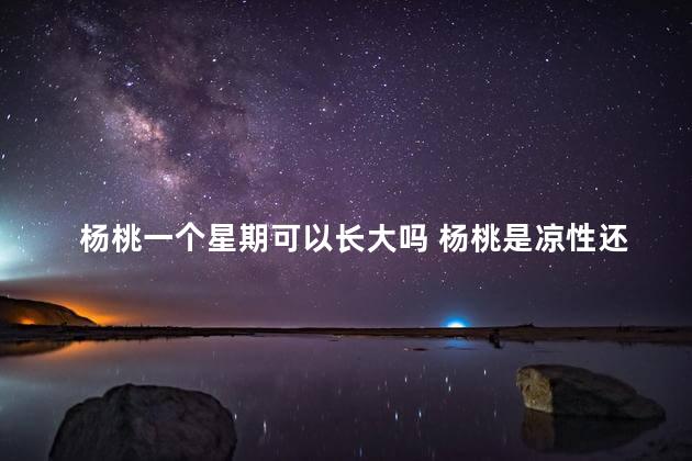 杨桃一个星期可以长大吗 杨桃是凉性还是热性